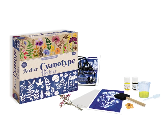 Atelier cianotípia - Sentosphere